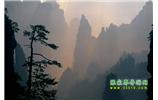 張家界國家森林公園、寶峰湖/黃龍洞、鳳凰古城、三峽八日游